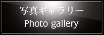 写真ギャラリー